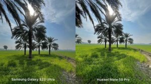 Samsung Galaxy S23 Ultra vs Huawei Mate 50 Pro Camera Test