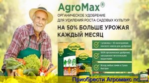 Удобрение исполин для картофеля