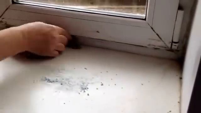 Как легко очистить пластиковое окно смотреть онлайн