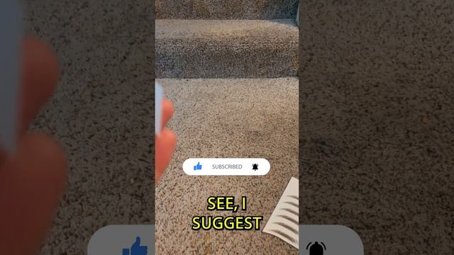 A MUST TRY Lifehack For Using Temporary Eyebrow Tattoos Stickers! смотреть онлайн