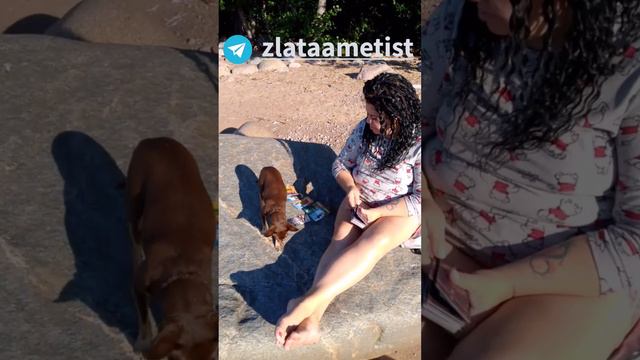 Задай вопрос в комментариях и я запишу видео ответ.
Ангелина. Ответ на вопрос из ВК. Часть 2