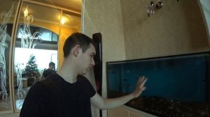 Как я мою свой АКВАРИУМ! Объемом в 200 литров