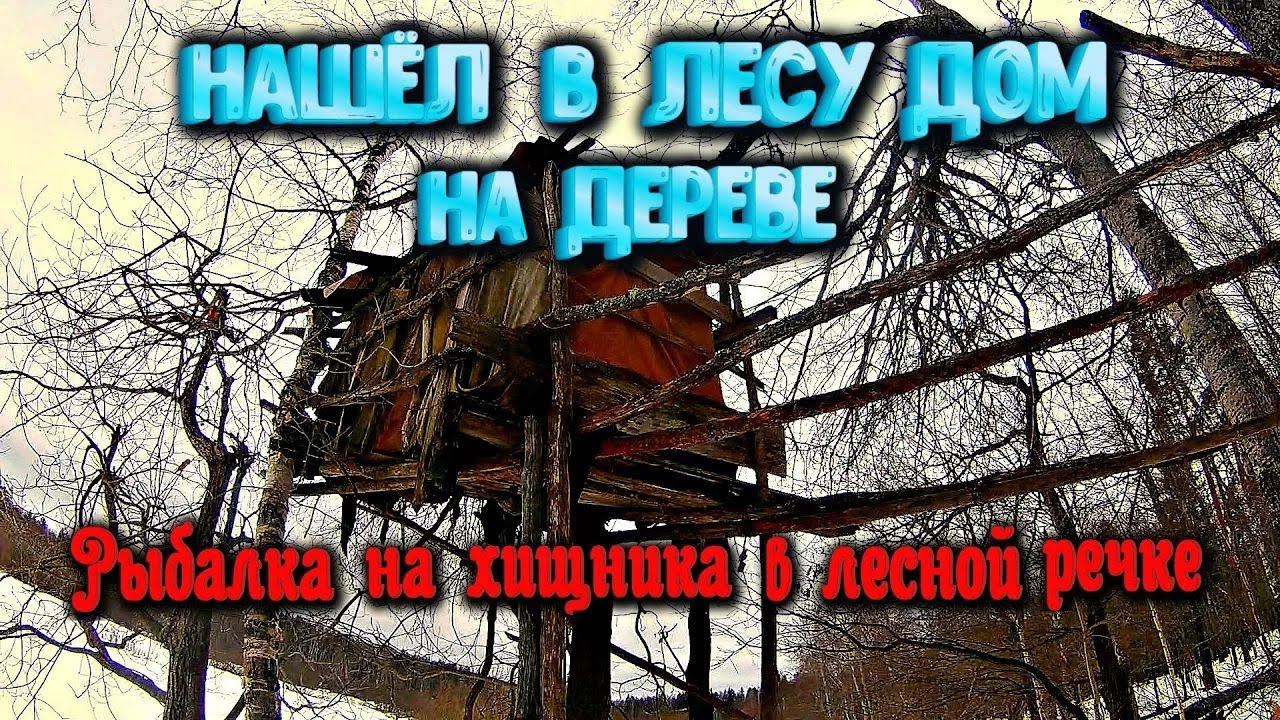 ✔️ Нашёл в лесу дом на дереве Рыбалка на хищника в лесной речке смотреть онлайн