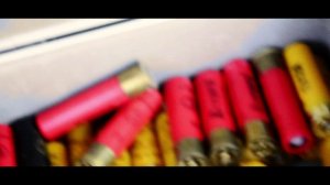 Сельские Радости 2011 - Сайга 20 vs ИЖ 43