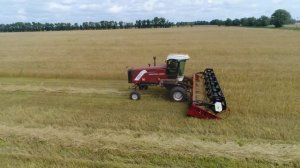 Косилка КСУ-1 на Алтайской МИС 2017 год