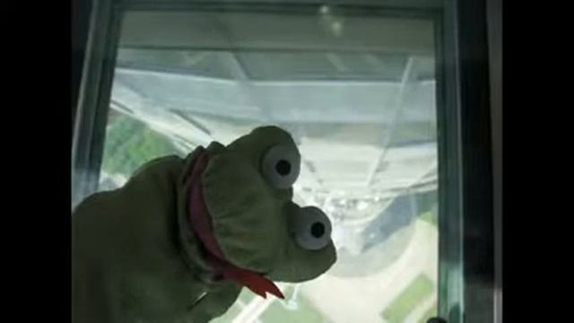 Лягушка-путешественница на Останкинской башне смотреть онлайн