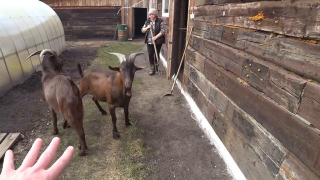 Обжиг нового казана смотреть онлайн