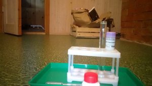 делаю опыт кислота в желудке человека 1 часть