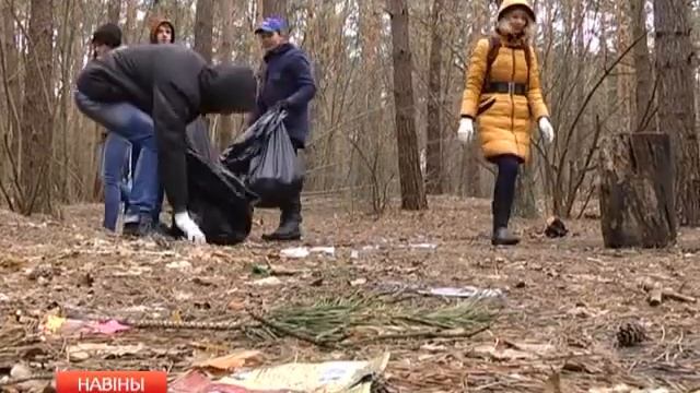 Уборка в лесу смотреть онлайн