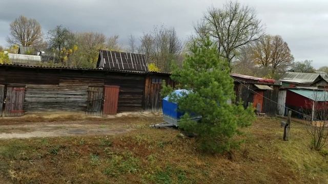 Утро в Белом доме. смотреть онлайн