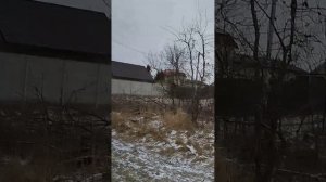 Иван Сусанин завёл в болото...