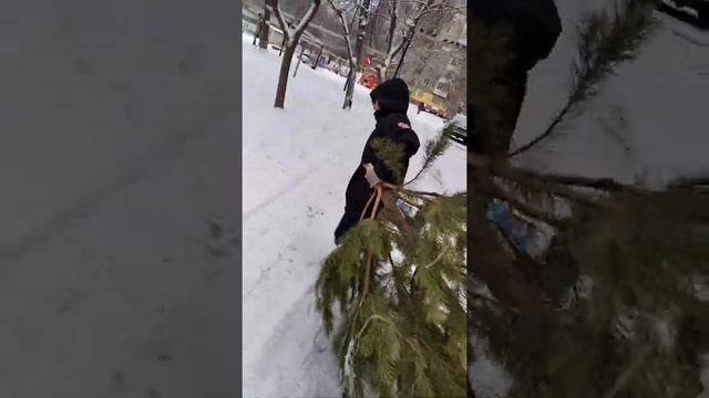 Как избавиться от ёлки смотреть онлайн