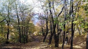 ⚡СЛОВА - ЗАЩИТА, КОТОРЫЕ ПОМОГУТ СОХРАНИТЬ ЭНЕРГИЮ.