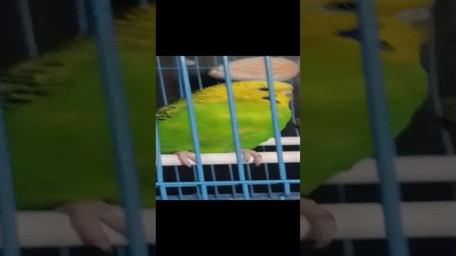 Я тут не причëм)