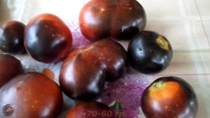 томат УГОЛЁК