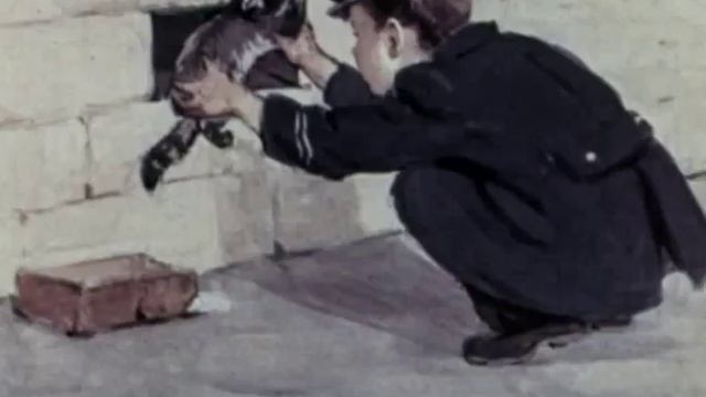 Н Носов Карасик Рассказ для детей смотреть онлайн