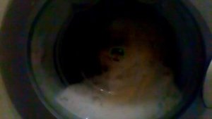 Две стиральные машинки