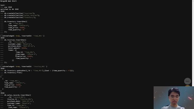 point-of-sale system (POS) in mongo shell смотреть онлайн
