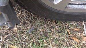 BMW E60  5 SERIES  ГДЕ  НАХОДИТСЯ БАЧОК  ЖИДКОСТИ ОМЫВАЮЩЕЙ ЛОБОВОЕ СТЕКЛО.