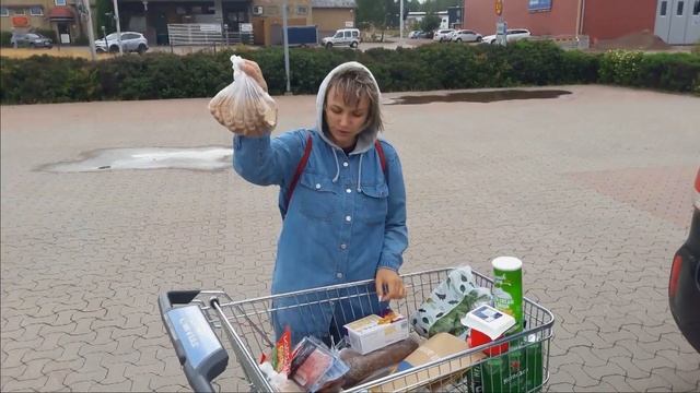 В Норвегию на автомобиле с детьми #2.  Дорога Стокгольм - Драммен. Ночевка в кемпинге Норвегии.