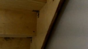 Лестница в подвал своими руками