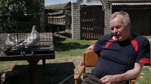 Бородуны. Белорусский голубевод получил породу голубей - Бородуны.