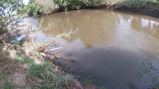 Покажу как поймать много рыбы на реке. Рыбалка на реке голавля на воблеры. Ловим на спиннинг. смотреть онлайн