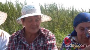 Традиции и обычаи народов Тюменской области "Моя малая Родина-Кушма"