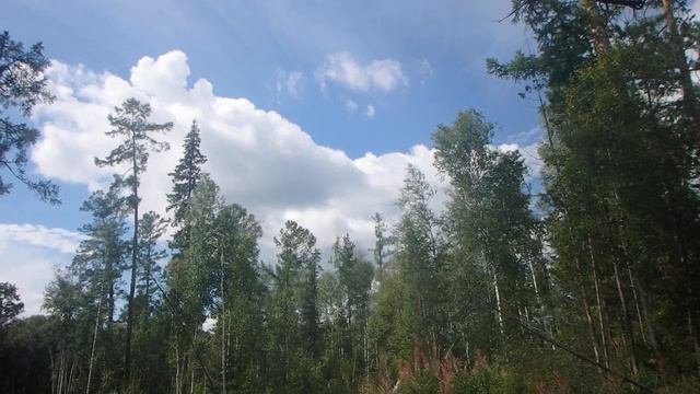 Ориентирование в тайге. Сочетание разных способов 3