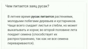 Чем отличаются заяц русак и заяц беляк ?