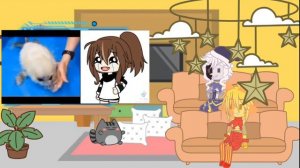 •|×🇷🇺Реакция Сана и Муна на Т/И×|•|×🇬🇧 Sun and Moon's reaction to Y/N×|•