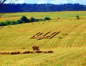 На полях Украины