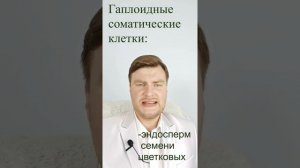 Соматические и половые клетки. ЕГЭ Биология. ЕГЭ 2022.
