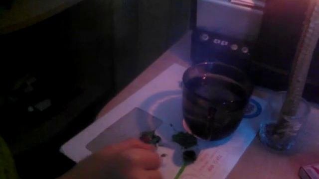 Что будет если расплавить пластилин и положить в воду