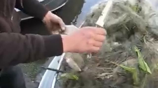 рейд с николаевской рыбинспекцией 28-04-2013 смотреть онлайн