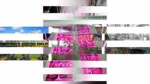 Освещение Для Теплиц