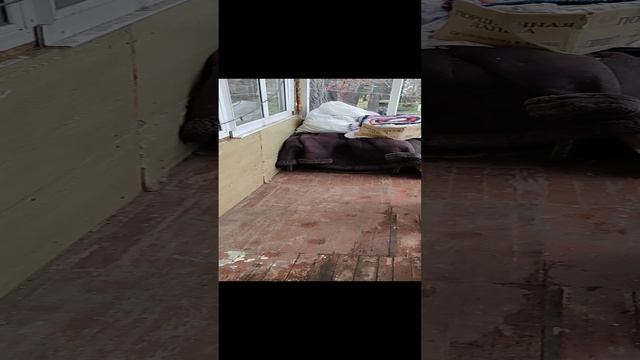 боб[1]