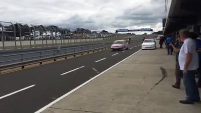 2015 Phillip Island Classic 5 Litre Touring Cars Pit Lane Exit смотреть онлайн