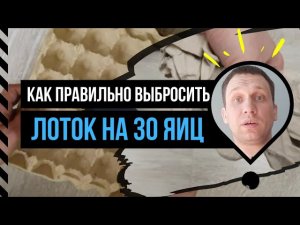 Крутой способ экономно сложить, собрать картонный лоток (упаковка) на 30 штук куриных яиц?