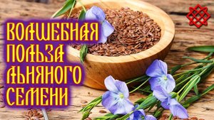 СЕМЕНА ЛЬНА ПОЛЬЗА. Состав Применение и Противопоказания Льняного Семени.mp4
