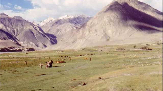 Borodin (1833-1887) In The Steppes Of Central Asia