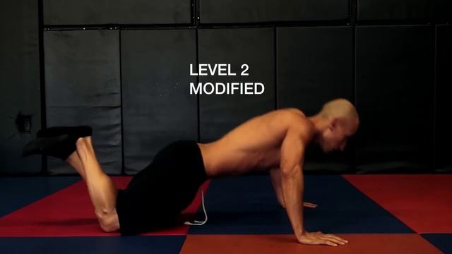 REGULAR PUSH-UPS