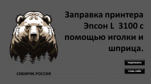 Заправка принтера Эпсон L 3100 с помощью иголки и шприца