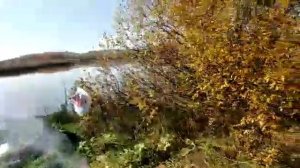 Осеняя рыбалка на Исетском озере