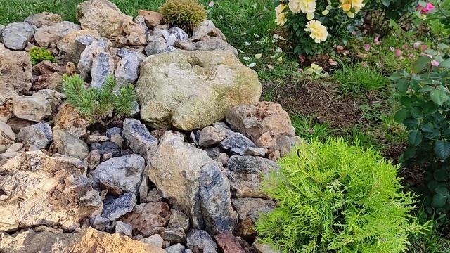 Каменистая горка своими руками.