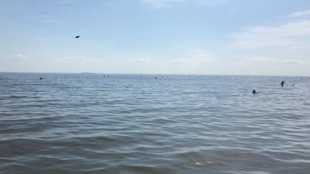 Финский залив.