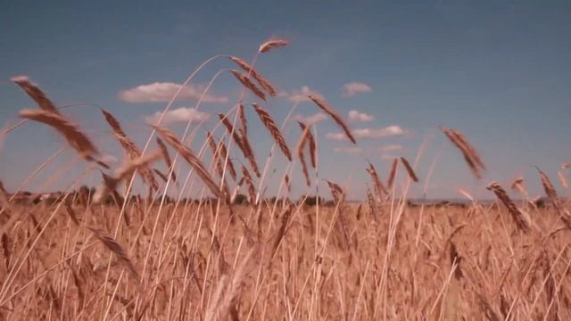Нежная, Красивая, Расслабляющая Музыка для Сна, Ёги, Массажа