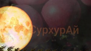 3 Яблони-3 Луны???. Уникальные сорта  яблонь алтайской селекции. Кедр-Сад.