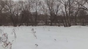 Курск.  Прогулка к мосту.  Щетинка.  Зимний поход.