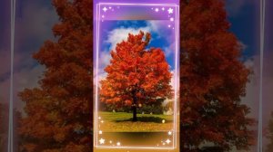 осенний бал маскарад природы